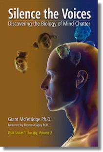 Silence the Voices book cover image